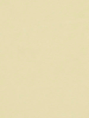 CRYPTON SUEDE | BONE