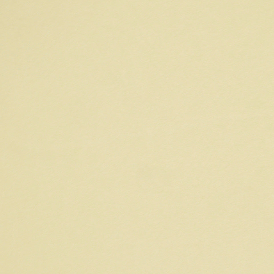 CRYPTON SUEDE | BONE