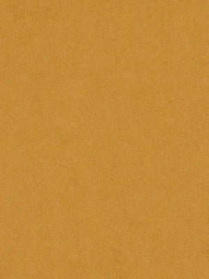 CRYPTON SUEDE | CANTALOUPE