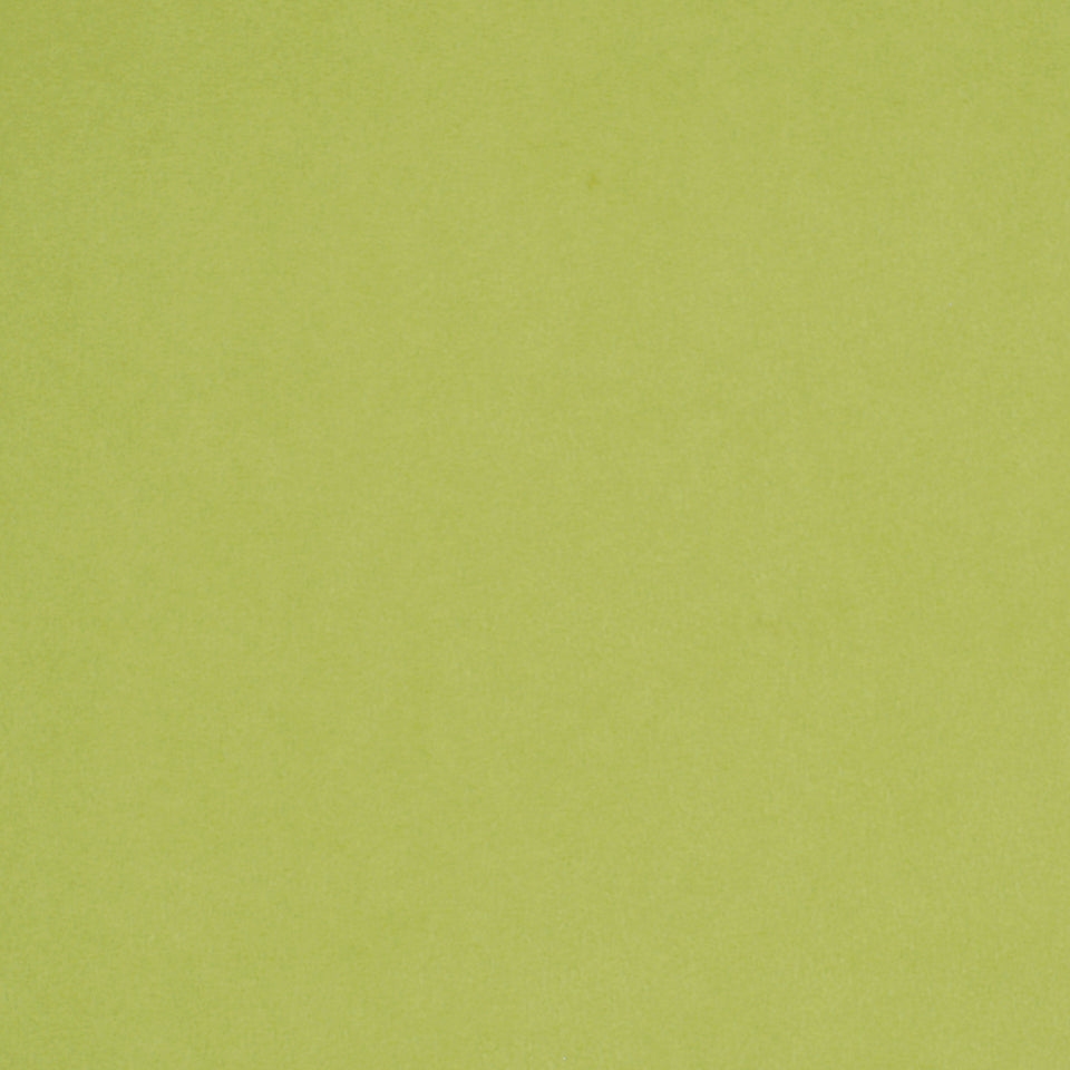 CRYPTON SUEDE | HONEYDEW