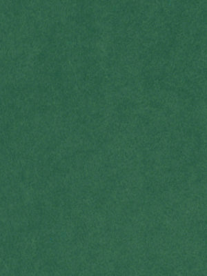 CRYPTON SUEDE | MING