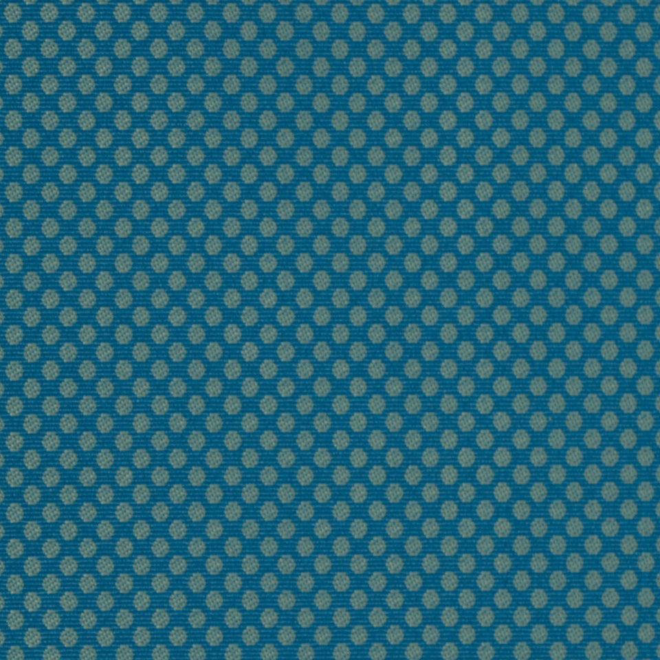 ECO FINALE | CERULEAN