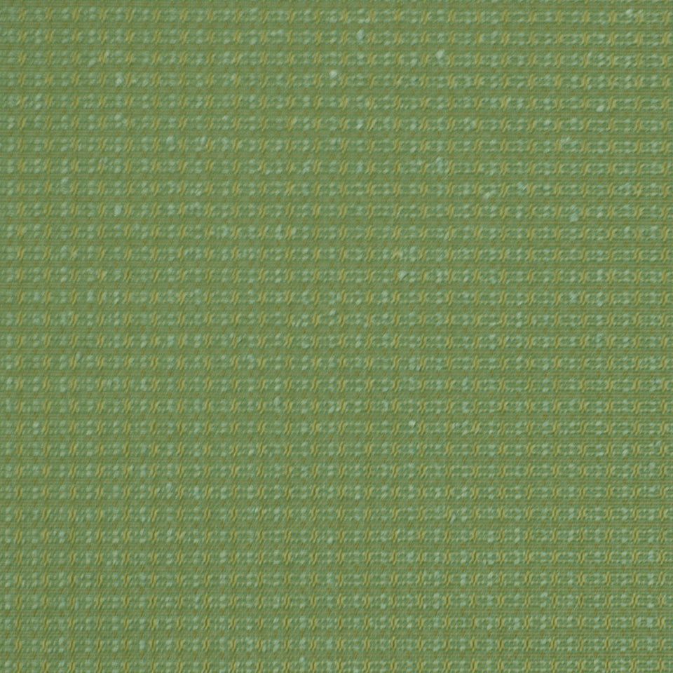 COLOR SPLASH | SPEARMINT