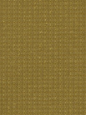 COLOR SPLASH | WHEAT