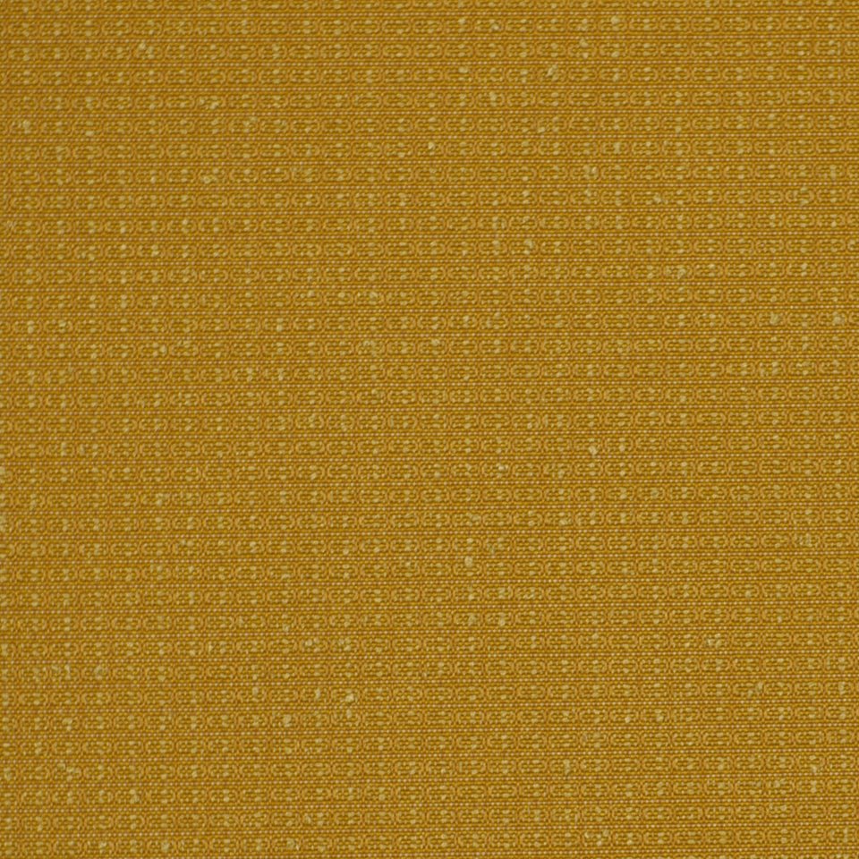 COLOR SPLASH | MARIGOLD