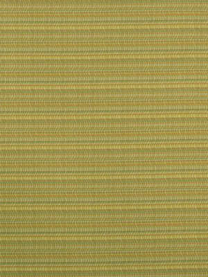 UNDULATION | CANTALOUPE