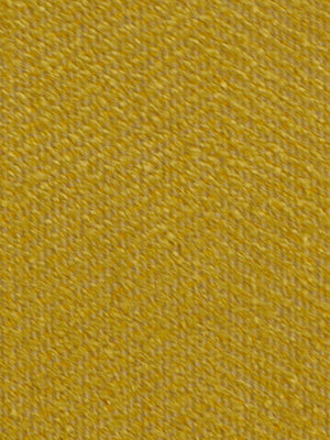 GALWAY | MUSTARD