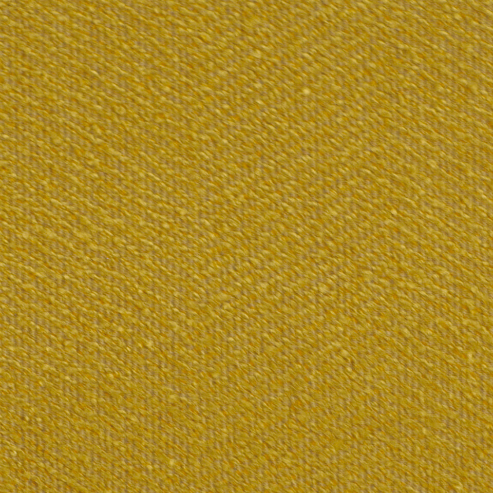 GALWAY | MUSTARD