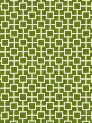 CATS CRADLE | GRASS - Drapery - Fabric