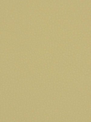 COLTIN | DUNE