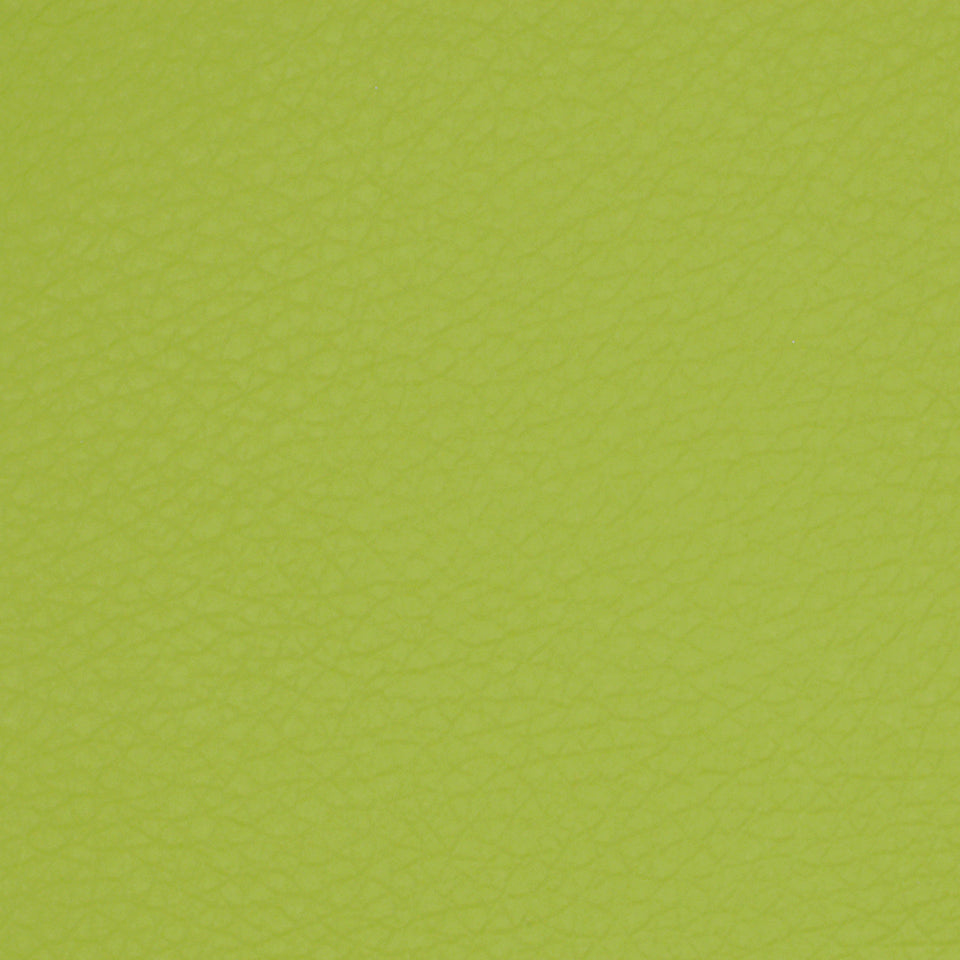 COLTIN | APPLE