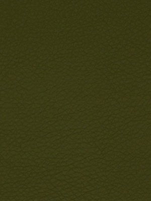 COLTIN | SAFARI - Upholstery - Fabric