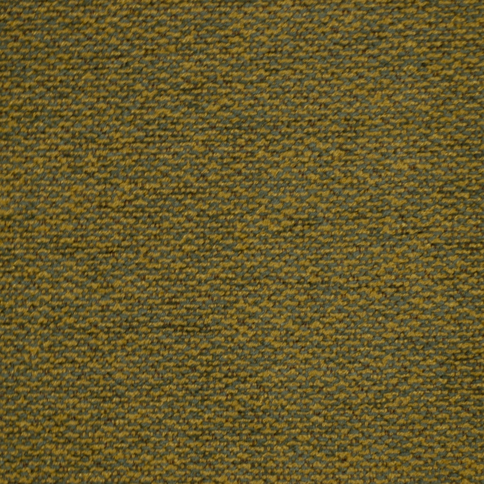 WARM COLORS | SHORELINE