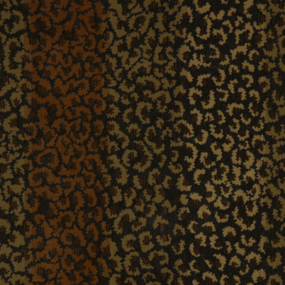 ROCK LEOPARD | LEOPARD