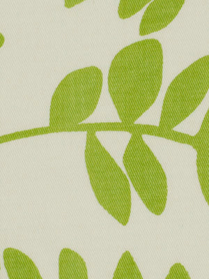 BOTANY FLORA | LEAF