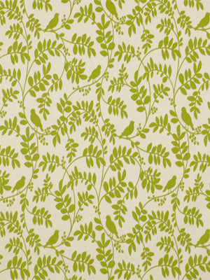 BOTANY FLORA | LEAF