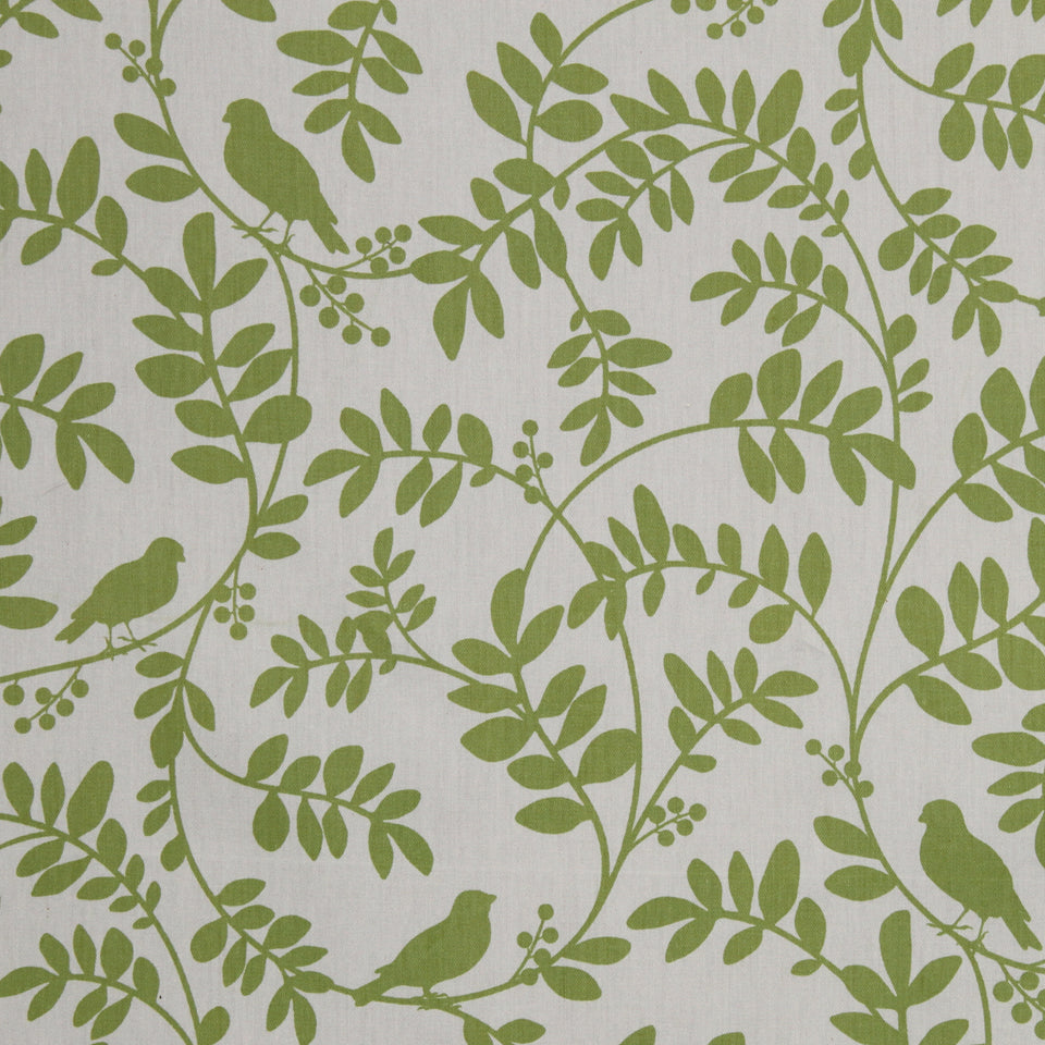 BOTANY FLORA | LEAF
