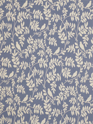 BOTANY FLORA | HYDRANGEA