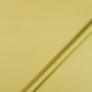 LUSTRE SHEEN | CELERY