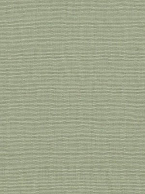 ZAHARA | POWDER - Multi-purpose