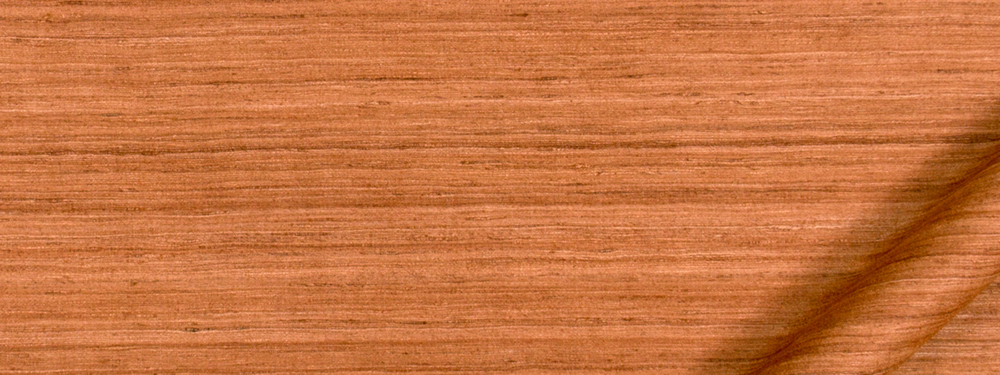 Aussie | Cinnabar