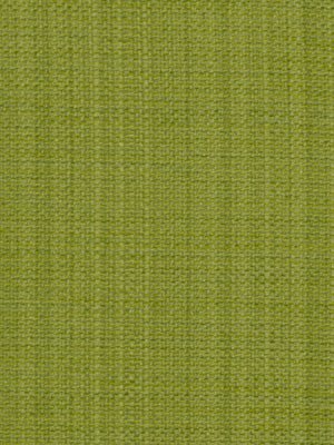 BOTKIER | EUCALYPTUS - Multi-purpose