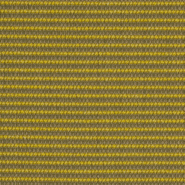 WAFFLE BOUCLE | CITRON