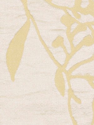 Thale Cress | Yellow Lotus - Multi-purpose