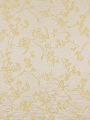 Thale Cress | Yellow Lotus - Multi-purpose