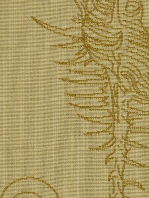 SEA URCHINS | SAND - Upholstery - Fabric