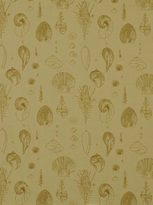SEA URCHINS | SAND - Upholstery - Fabric