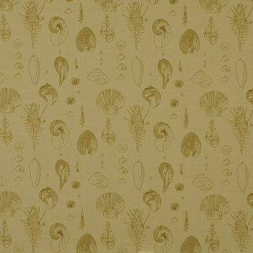 SEA URCHINS | SAND - Upholstery - Fabric