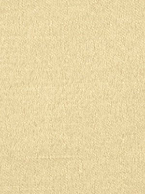 SATIN LUSTRE | VANILLA - Drapery - Fabric