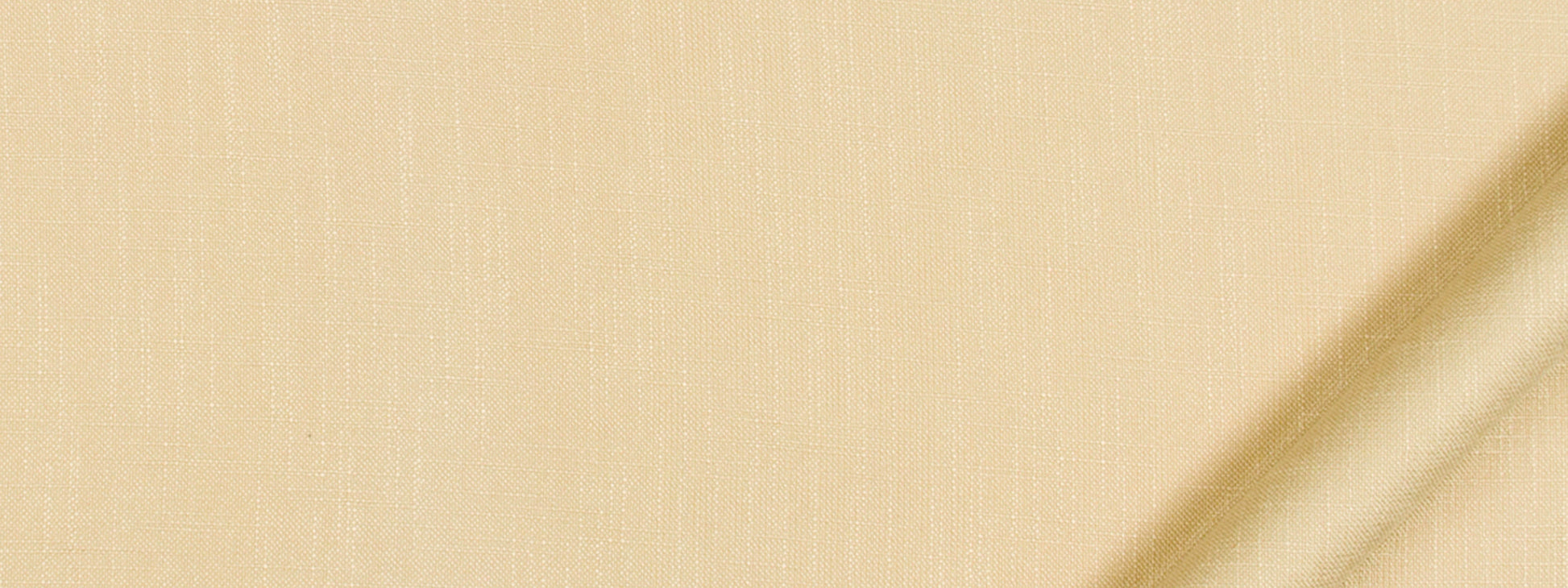 ENCHANTMENT | BISCUIT