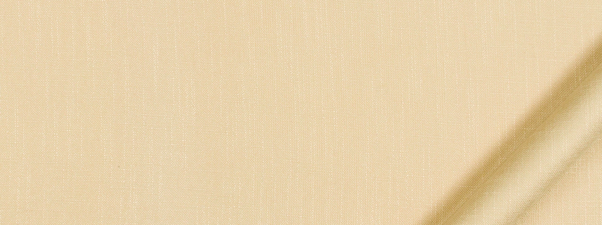 ENCHANTMENT | BISCUIT