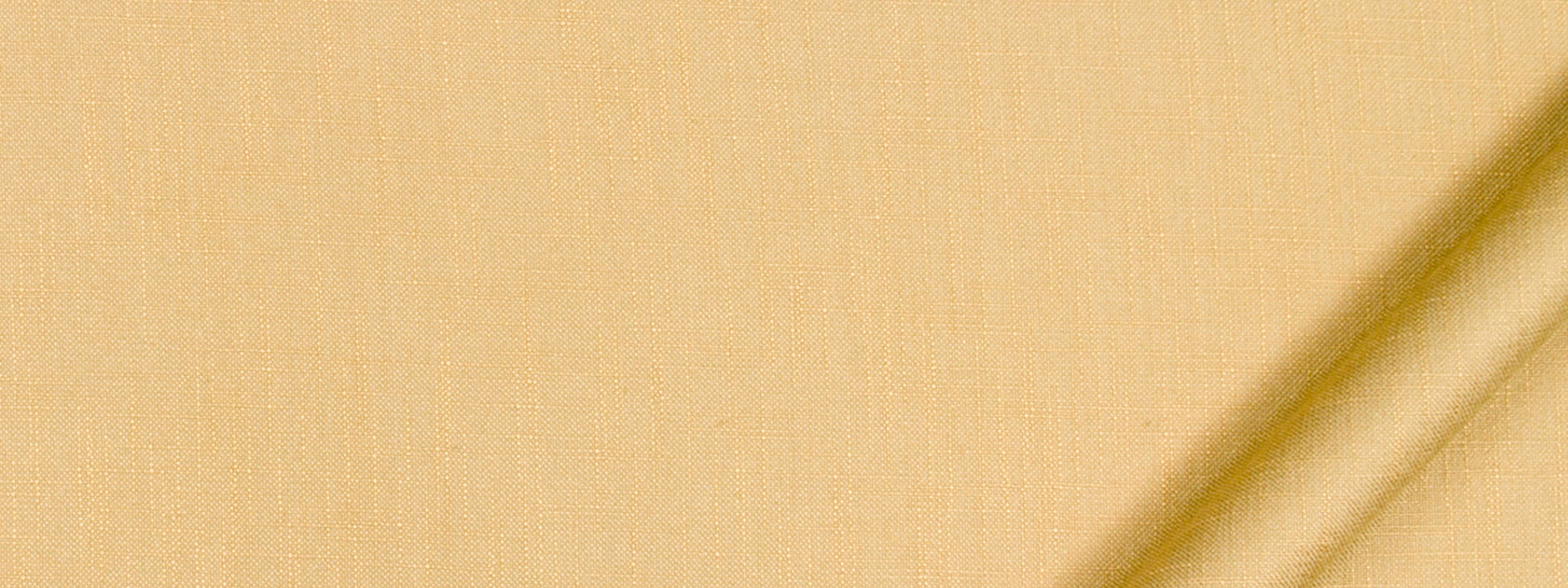 ENCHANTMENT | HONEY