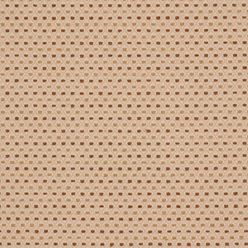 JOYFUL NOTES | FLAX - Drapery - Fabric