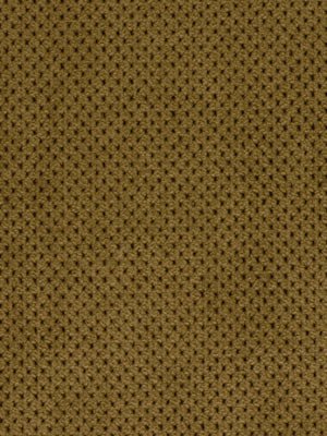 PLUSH SOFTY | CASHEW - Upholstery - Fabric