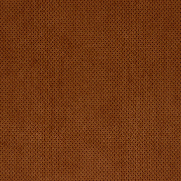 PLUSH SOFTY | CASHEW - Upholstery - Fabric