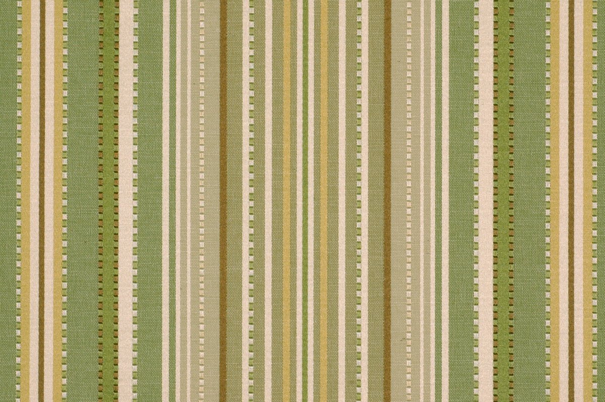 KENTUCKY FIELD | LEEK - Multi-purpose