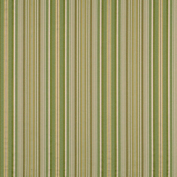 KENTUCKY FIELD | LEEK - Multi-purpose