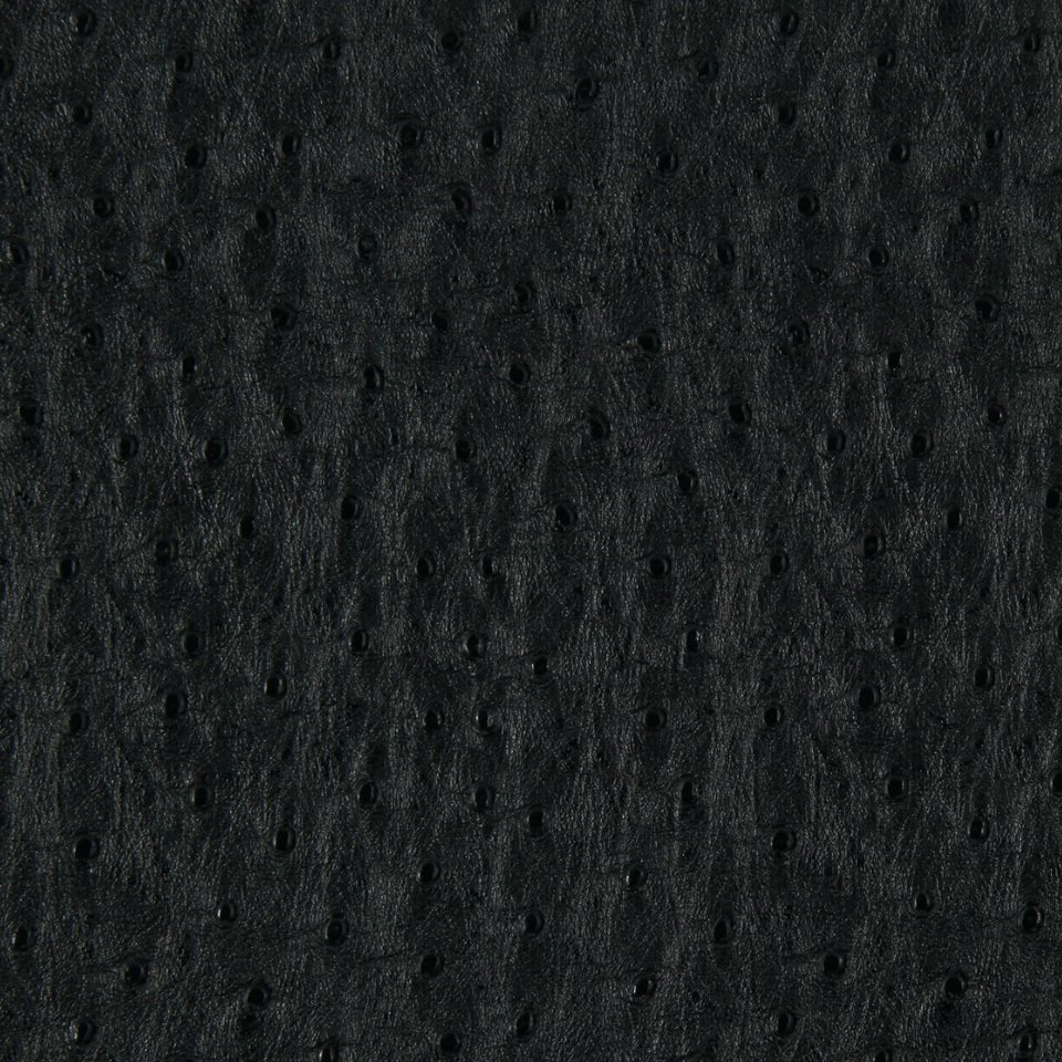 HARVEST MOON | BLACK - Upholstery - Fabric
