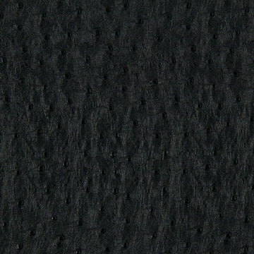 HARVEST MOON | BLACK - Upholstery - Fabric