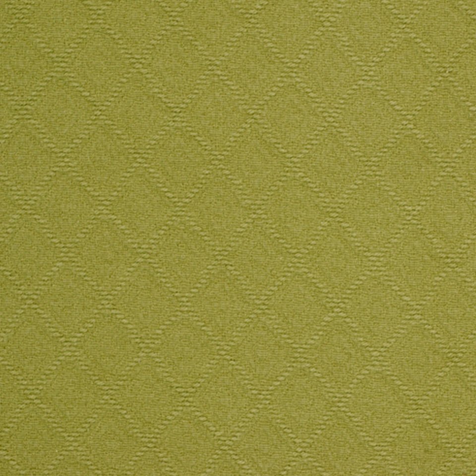 Brightwood | Wasabi - Multi-purpose