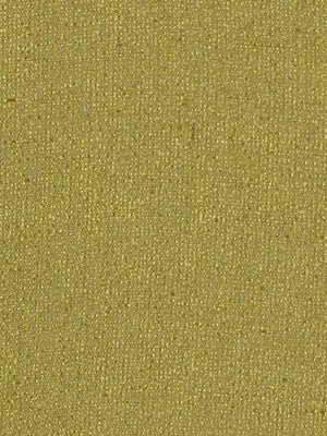 SHINY WEAVE | TARRAGON