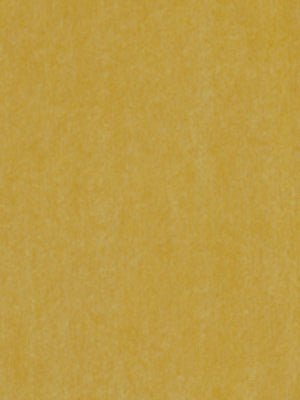 WOOL VELVET | BUTTER - Upholstery - Fabric