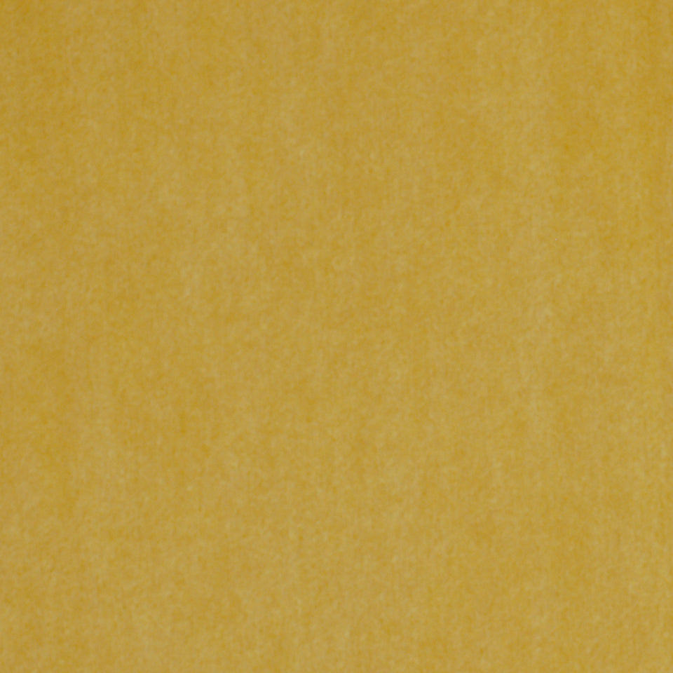 WOOL VELVET | BUTTER