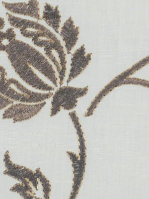 BLOOMS ABOUND | GRAPHITE - Multi-purpose