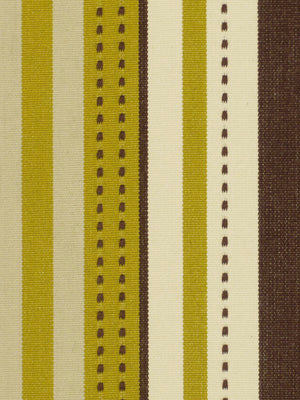 Retro Stripe | Kiwi