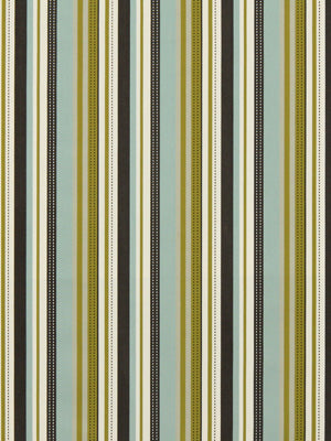 Retro Stripe | Kiwi